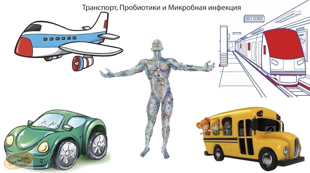 Вирус. Физика репликации.Механизм остановки инфекции.